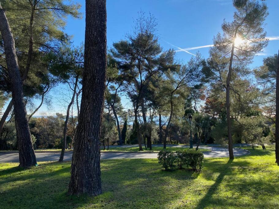2-Room 60 M², Panoramic View, 2 Balconies, 50M Pool Cagnes-sur-Mer Eksteriør bilde